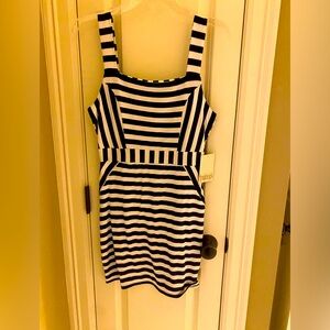 Women’s Navy/Ivory Dress